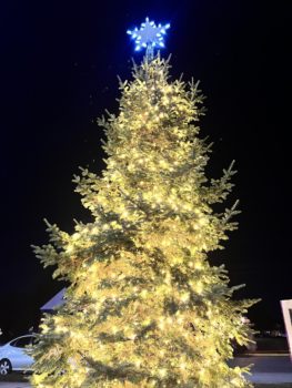 Tree of Life